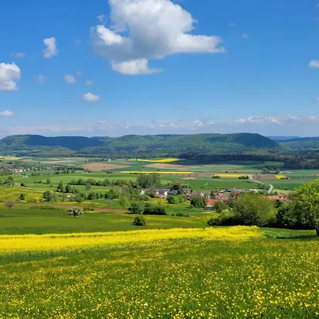 Hof Gasswies 公寓 *