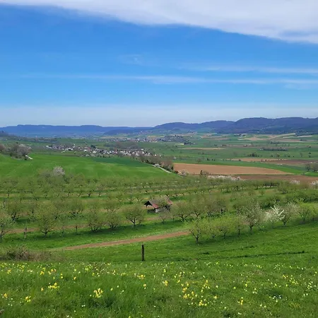 公寓 Hof Gasswies *