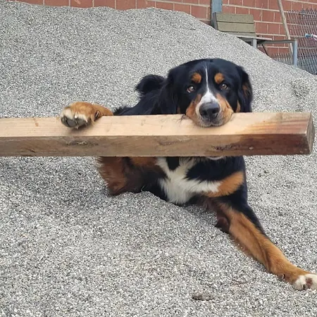 Hof Gasswies 公寓 Klettgau