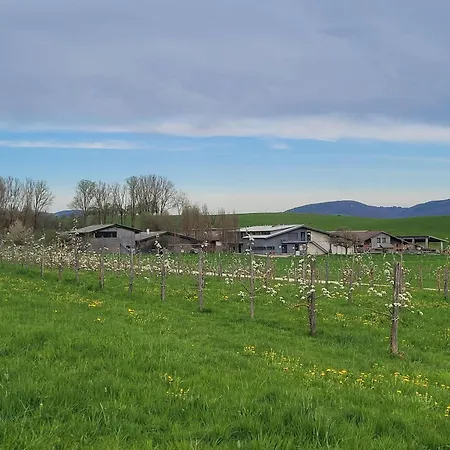 Hof Gasswies 公寓 *