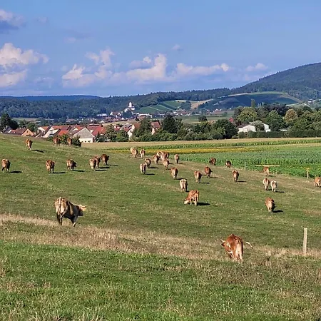 Hof Gasswies 公寓 Klettgau