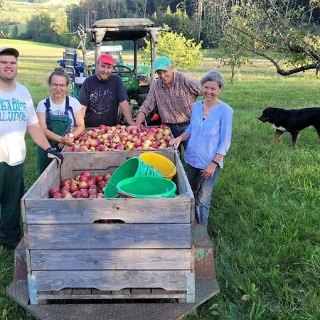 Hof Gasswies 公寓 *