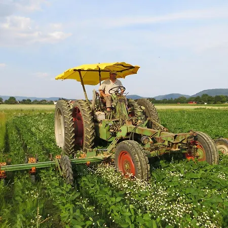 Hof Gasswies Klettgau